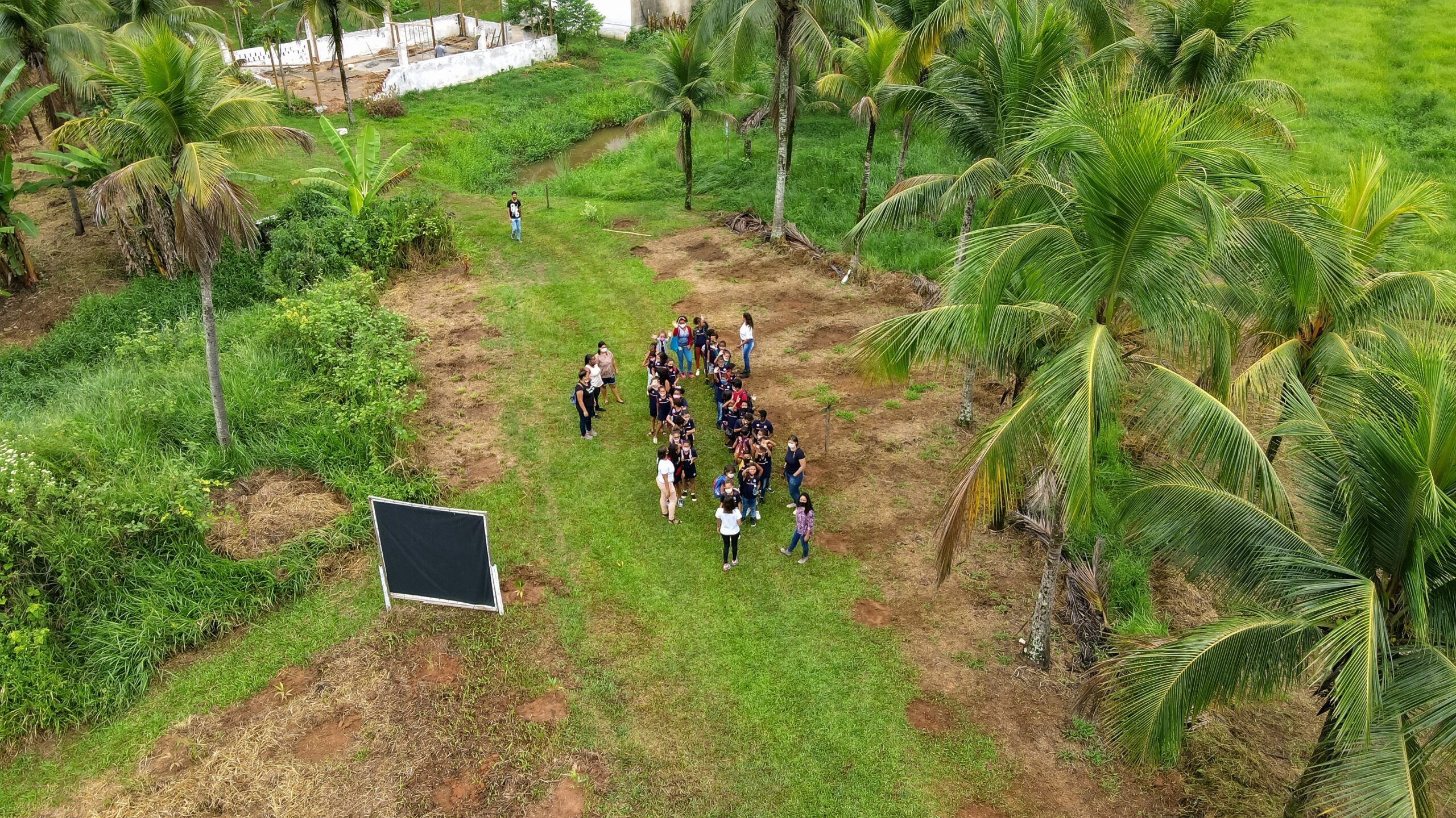 Dia Nacional da Mata Atlântica é celebrado com inauguração de  Viveiro de Mudas